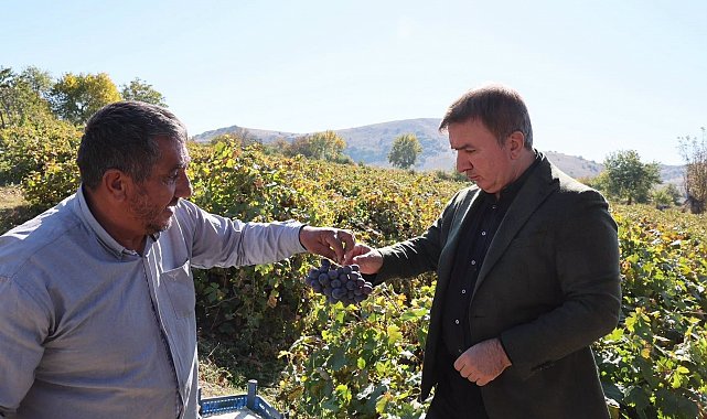 Vali Aydoğdu, üzüm hasadı yapan üreticiyi ziyaret etti