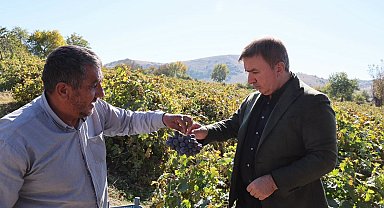 Vali Aydoğdu, üzüm hasadı yapan üreticiyi ziyaret etti
