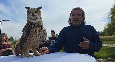 Van YYÜ'de 'Dünya Göçmen Kuşlar Günü'nde anlamlı etkinlik: Tedavisi tamamlanan şahin doğaya bırakıldı