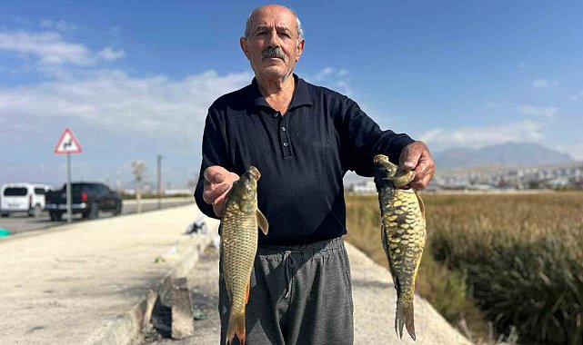 Van'da amatör balıkçıların aynalı sazan mesaisi