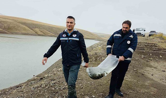 Van'ın su ürünleri sektöründen ekonomiye 25 milyon dolarlık katkı