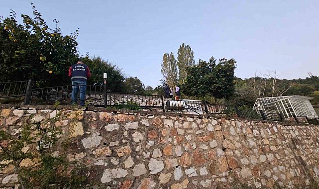 Villada yarım milyonluk paneller çalındı