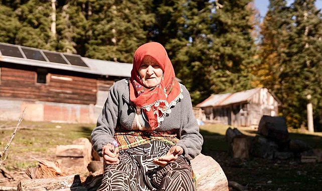 Yaylada vargit çiçekleri açtı, dönüş yolculuğu başladı