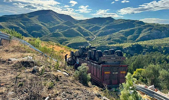 Yem yüklü tır şarampole yuvarlandı: 1 ölü