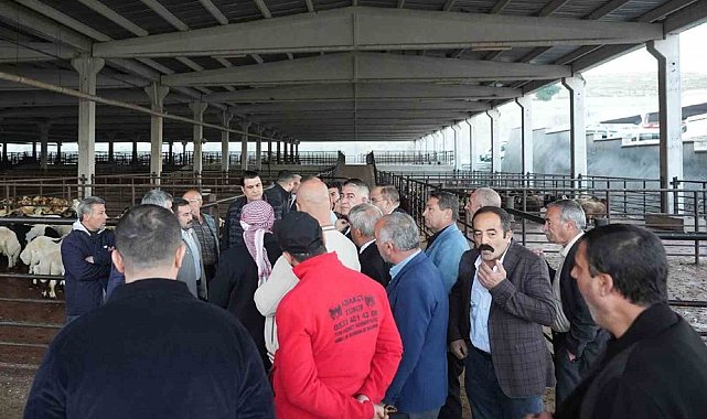Yılmaz'dan et müjdesi