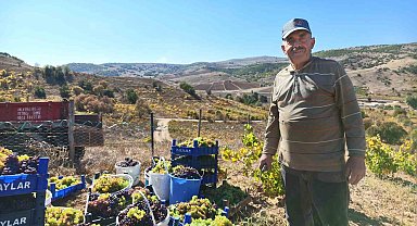 Yozgat'ta bağ bozumu heyecanı pekmez yolculuğuna uzandı