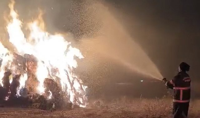 Yüksekova'da çıkan yangında 5 bin bağ ot kül oldu