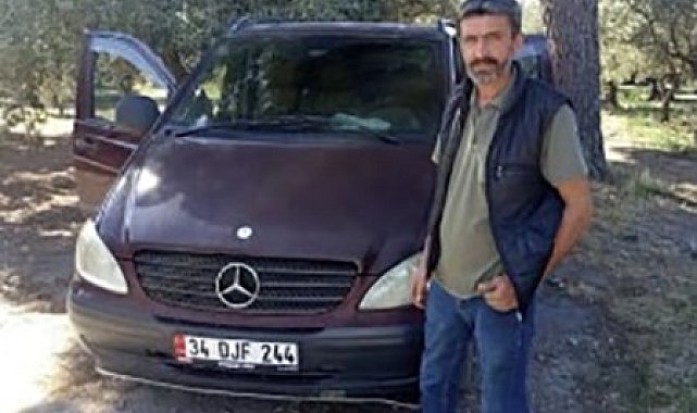 Zeytin toplarken arı soktu hayatını kaybetti