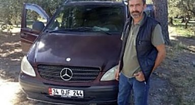 Zeytin toplarken arı soktu hayatını kaybetti