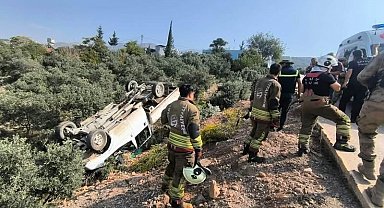 Zeytinliğe uçan kamyonetin sürücüsü yaralandı