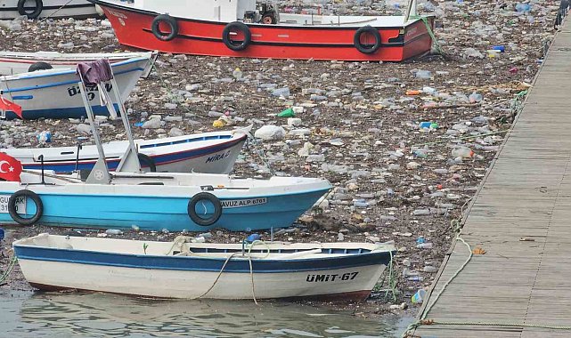 Zonguldak Limanı çöplüğe döndü: Derelerin taşıdığı atıklar deniz yüzeyini kapladı