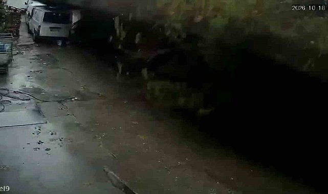 Zonguldak'ta istinat duvarının çöktüğü anlar kamerada: Köpekler telef oldu, 2 araç enkaz altında kaldı
