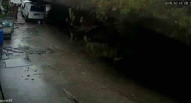 Zonguldak'ta istinat duvarının çöktüğü anlar kamerada: Köpekler telef oldu, 2 araç enkaz altında kaldı