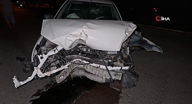 Kontrolden çıkan otomobil ağacı ve direği devirdi, sürücü kaçtı